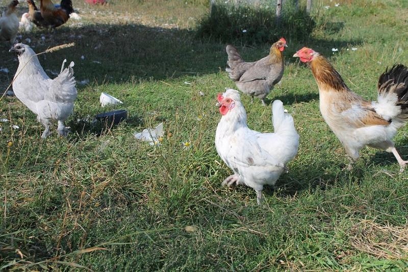 Rocklosa Gard Ξενοδοχείο Ollosa Εξωτερικό φωτογραφία